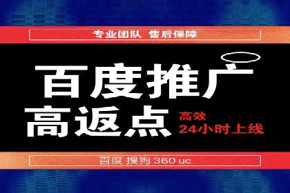 SEM代理服务：案例分享，效果显著