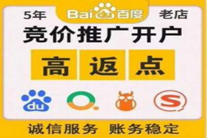 SEM服务公司助力品牌崛起案例